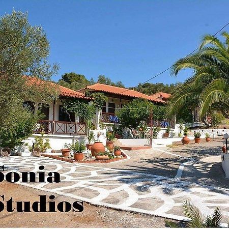 Sonia Studios Nees Kidonies Habitación foto