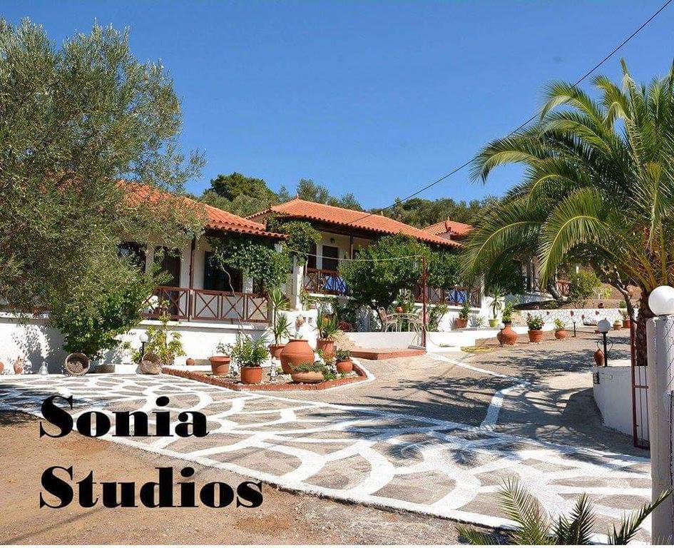 Sonia Studios Nees Kidonies Habitación foto